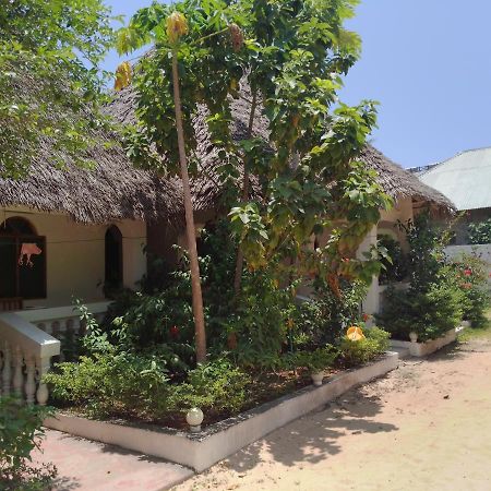 H & H Bungalows Nungwi Eksteriør billede