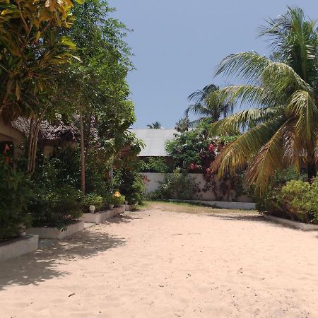 H & H Bungalows Nungwi Eksteriør billede