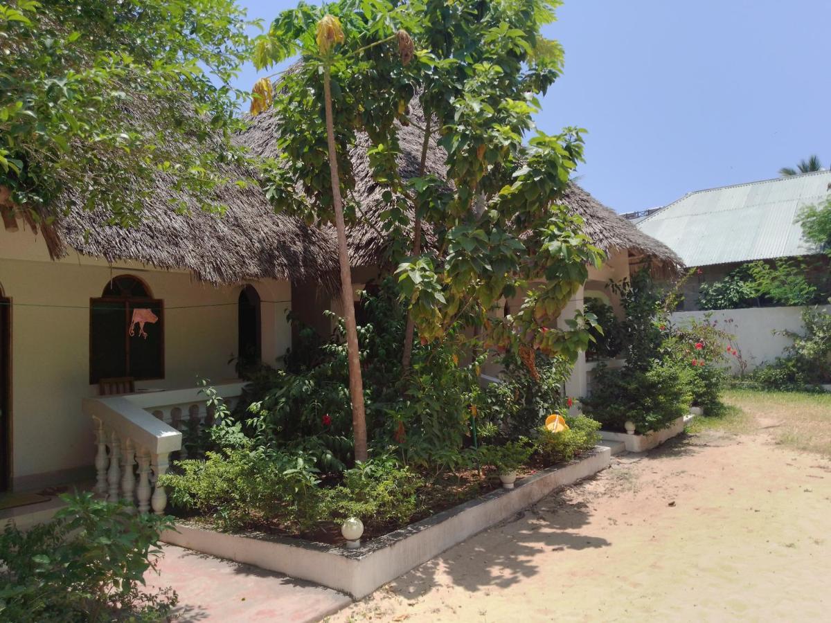 H & H Bungalows Nungwi Eksteriør billede