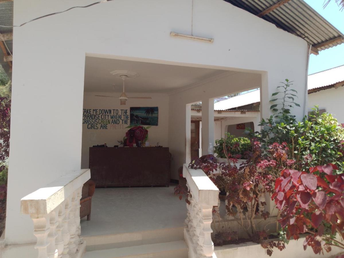 H & H Bungalows Nungwi Eksteriør billede