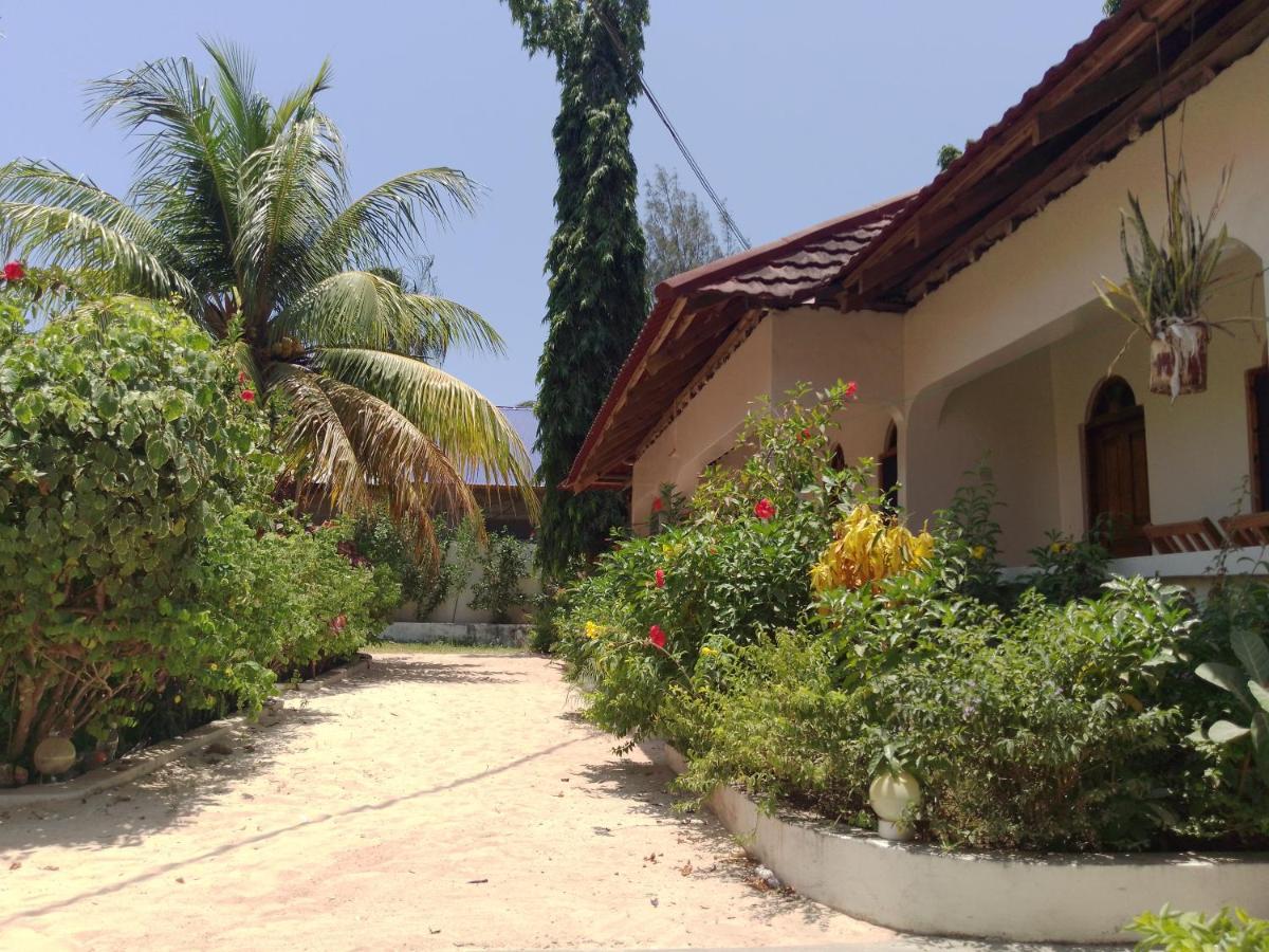 H & H Bungalows Nungwi Eksteriør billede