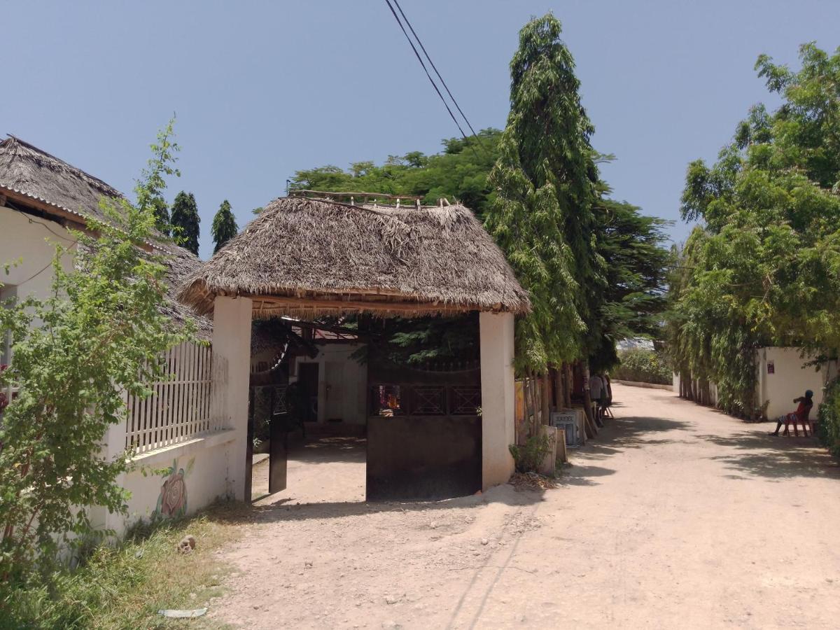 H & H Bungalows Nungwi Eksteriør billede