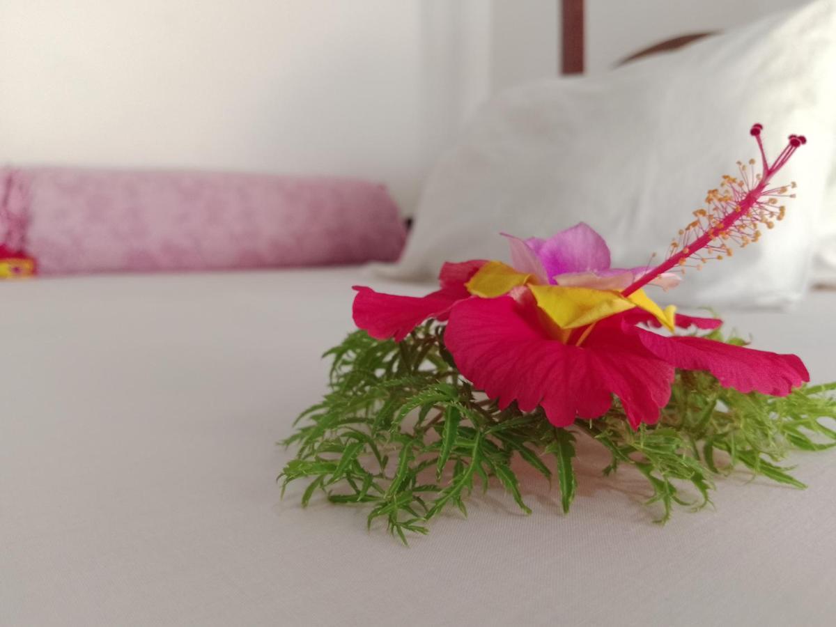 H & H Bungalows Nungwi Eksteriør billede