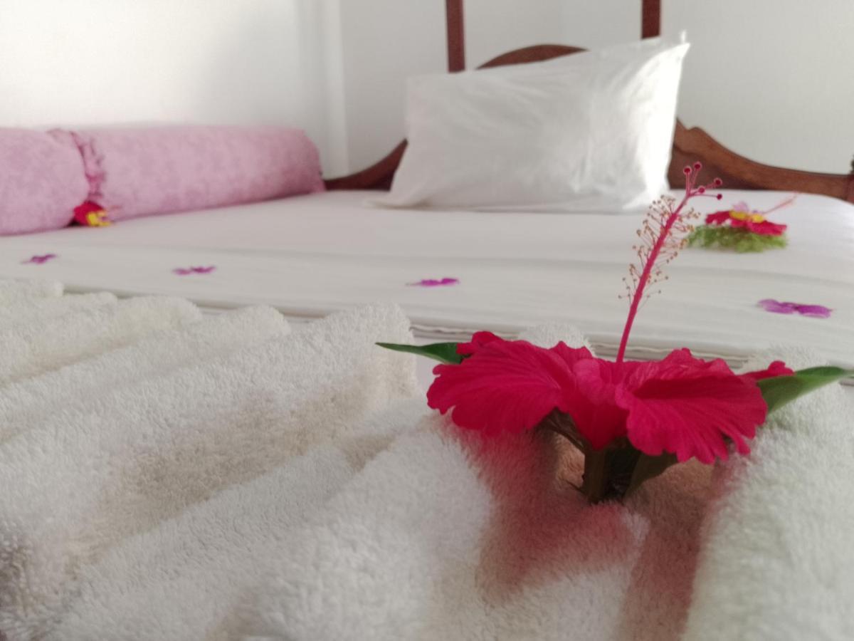 H & H Bungalows Nungwi Eksteriør billede
